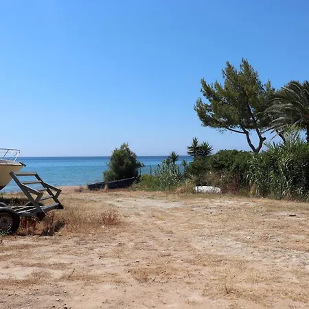 Memi View B1 Koróni